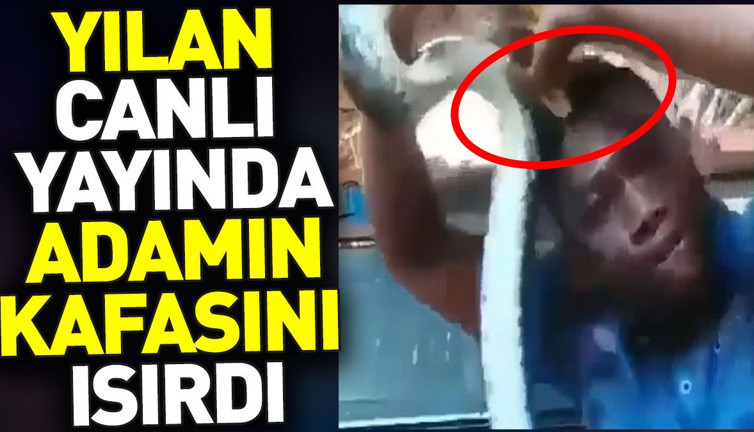 Yılan canlı yayında adamın kafasını ısırdı