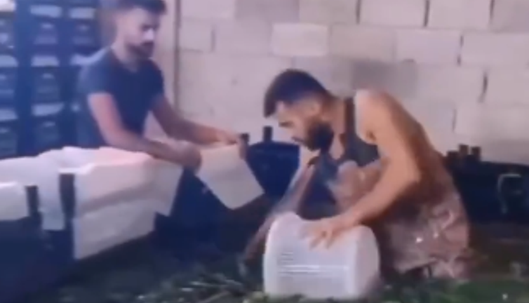 Bu defa da hıyar havuzuna girip iğrençlik yaptı. Bu görüntüler hıyar olduğu için midenizi bulandırmayacak