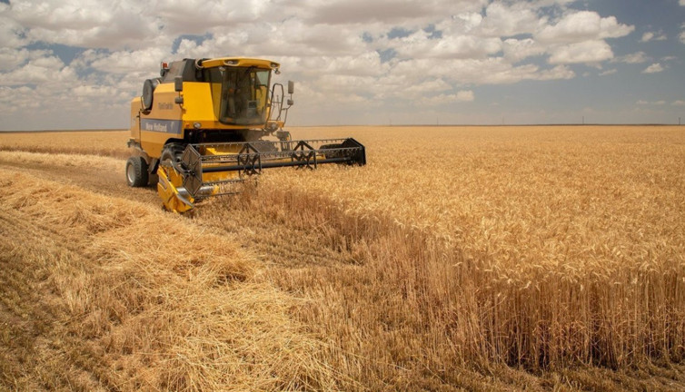 Hububat üretiminde rekor beklentisi