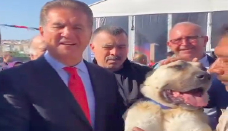 Mustafa Sarıgül'den yeni video: "4 ayaklıdan değil, 2 ayaklıdan kork"