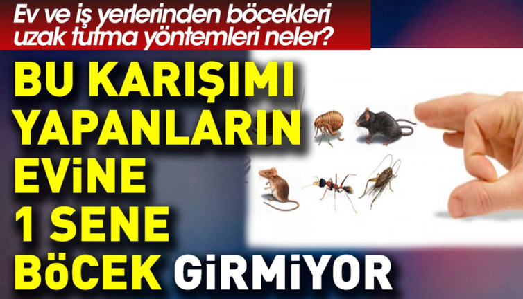 Bu karışımı yapanların evine 1 sene böcek girmiyor. Ev ve iş yerlerinden böcekleri uzak tutma yöntemleri neler?