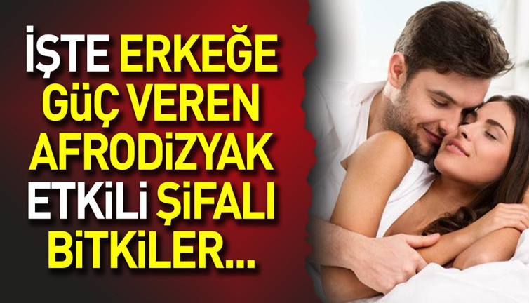 İşte erkeğe güç veren afrodizyak etkili şifalı bitkiler...