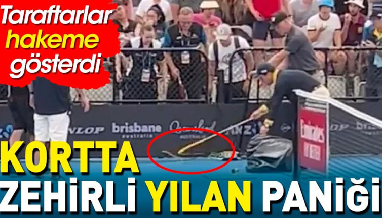 Dünyaca ünlü turnuvada zehirli yılan alarmı. Maç sırasında taraftarlar fark etti