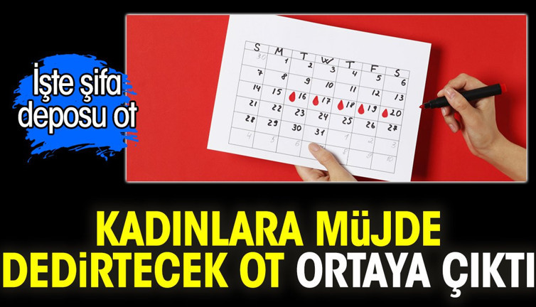 Kadınlara müjde dedirtecek ot ortaya çıktı. Regl (Aybaşı) kanamalarını düzenliyor