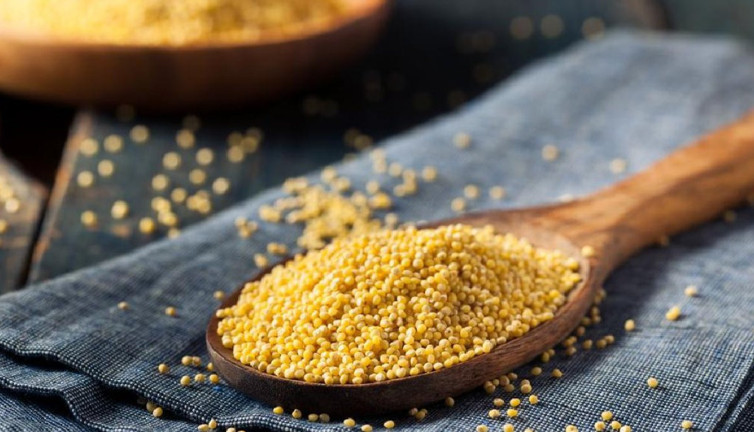 Darı nedir? Darının faydaları neler?