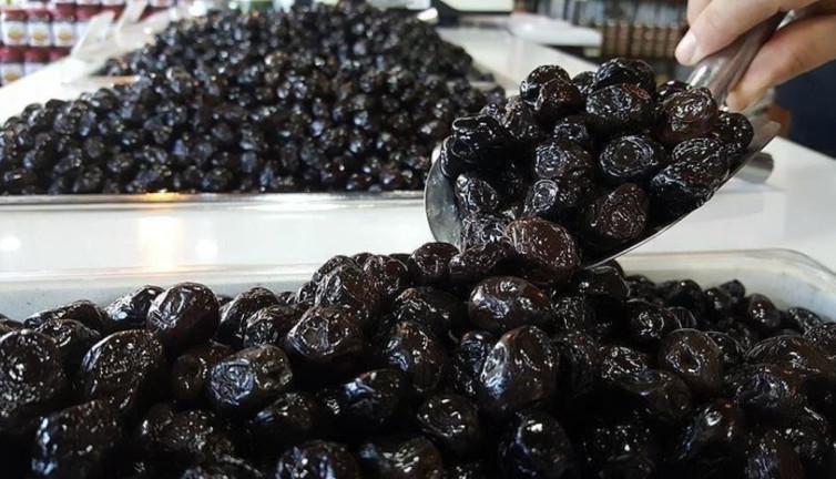 Marmarabirlik resmen duyurdu. Yarın hesaplara yatıyor