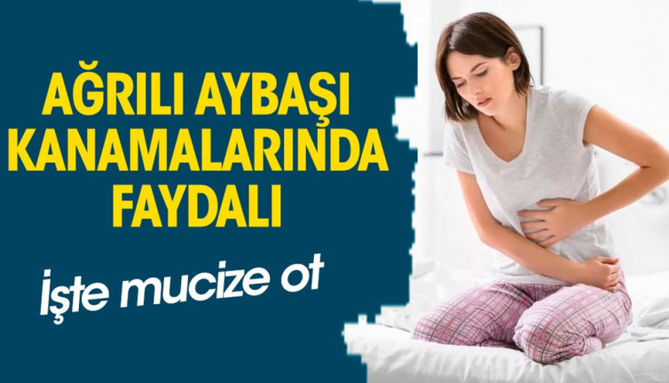 Ağrılı aybaşı (Regl) kanamalarında faydalı. İşte mucize ot