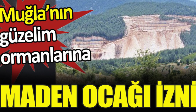 Fethiye’nin güzelim ormanlarına mermer ocağı izni