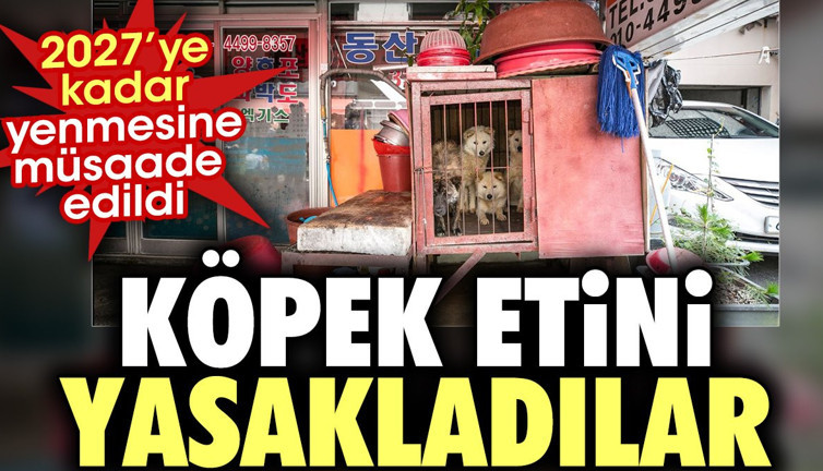 Köpek etini yasakladılar. 2027'ye kadar yenmesine müsaade edildi