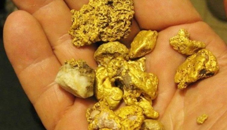 Dere dere geziyor gram gram altın çıkarıyor. Masrafı düşük kazancı büyük. Siz de yapabilirsiniz