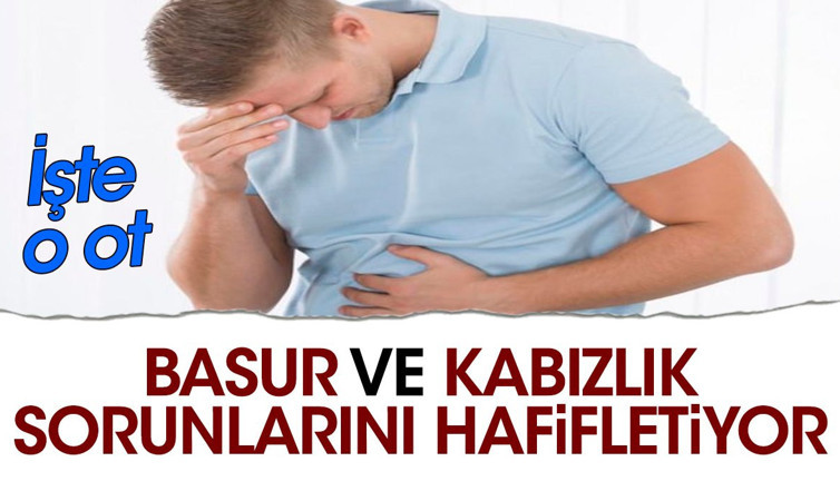 Basur ve kabızlık sorunlarını hafifletiyor. İşte o ot