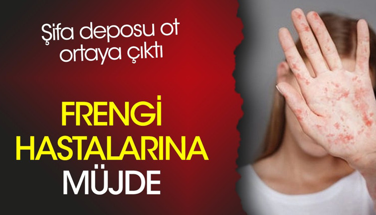 Frengi hastalarına müjde. Şifa deposu ot ortaya çıktı