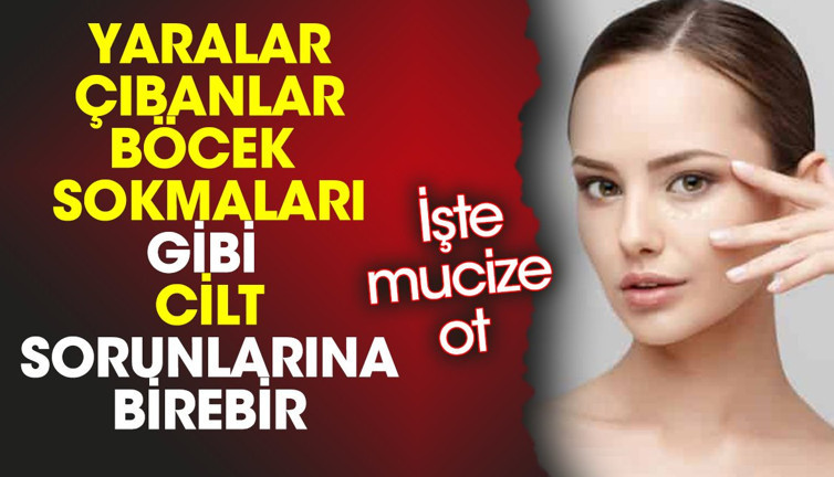 Yaralar çıbanlar böcek sokmaları gibi cilt sorunlarına birebir. İşte mucize ot