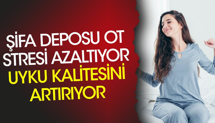 Şifa deposu ot stresi azaltıyor uyku kalitesini artırıyor