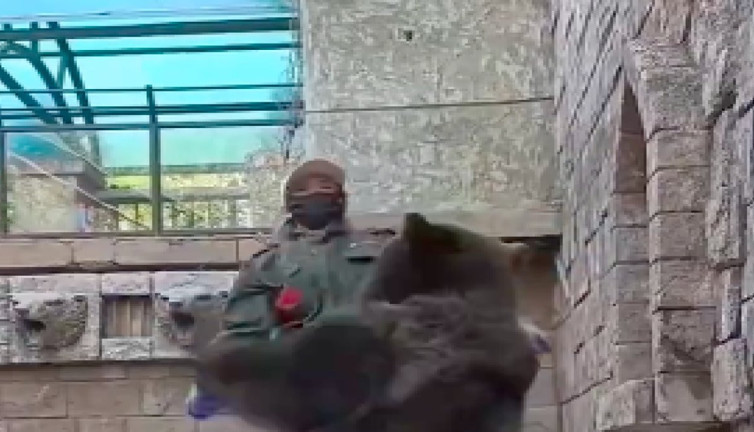 Daha önce ip atlayan ayı görmediyseniz, buyurun videoya...