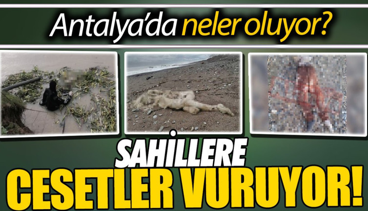 Sahillere cesetler vuruyor. Su kenarları ceset tarlasına döndü. Antalya’da neler oluyor