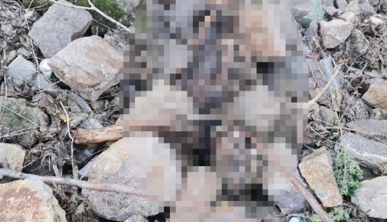 İzmir’de sokak ortasında insan iskeleti bulundu. 1 yıllık olduğu tahmin ediliyor