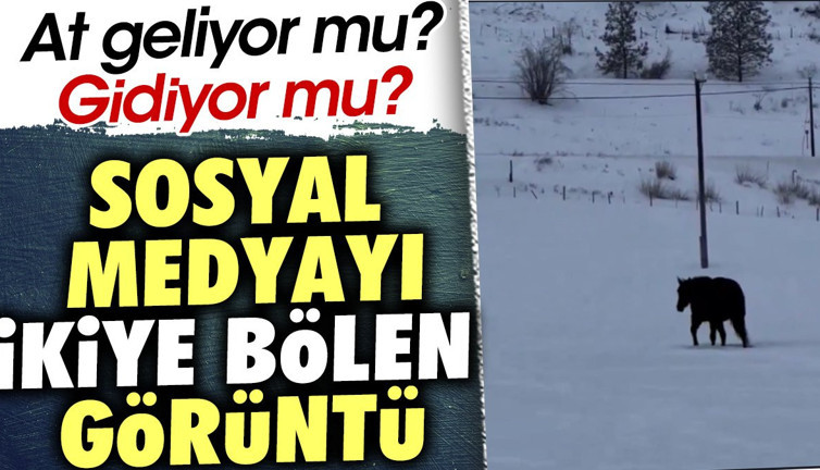 At geliyor mu ? Gidiyor mu ? Sosyal medyayı ikiye bölen görüntü