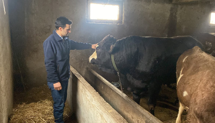 Parası olmayan bu işe başlasın. Cebinde 5 kuruş yoktu şimdi besici oldu