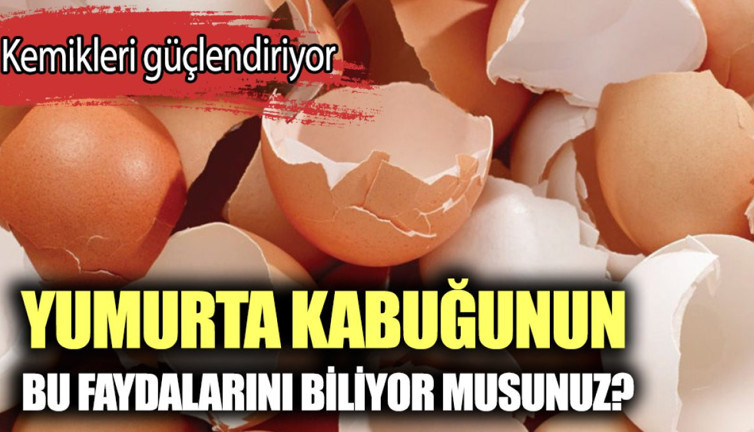 Yumurta kabuğunun faydaları neler? Yumurta kabuğu nasıl ne işe yarar?