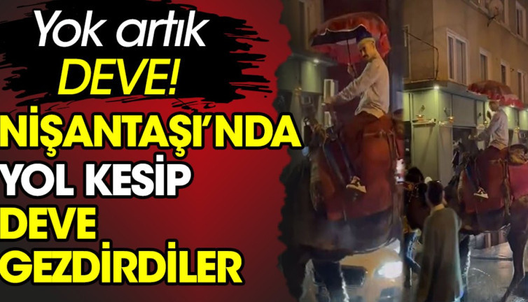 Nişantaşı'nda yol kesip deve gezdirdiler. Yok artık deve