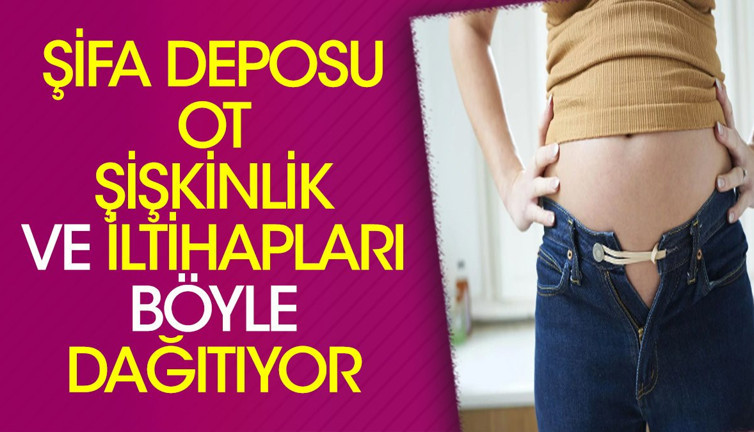 Şifa deposu ot şişkinlik ve iltihapları böyle dağıtıyor