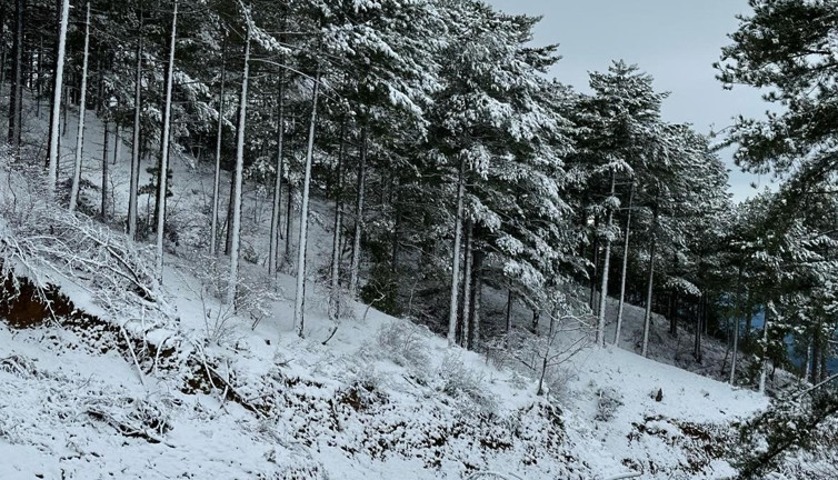 Gazipaşa kar yağışı ile beyaza büründü