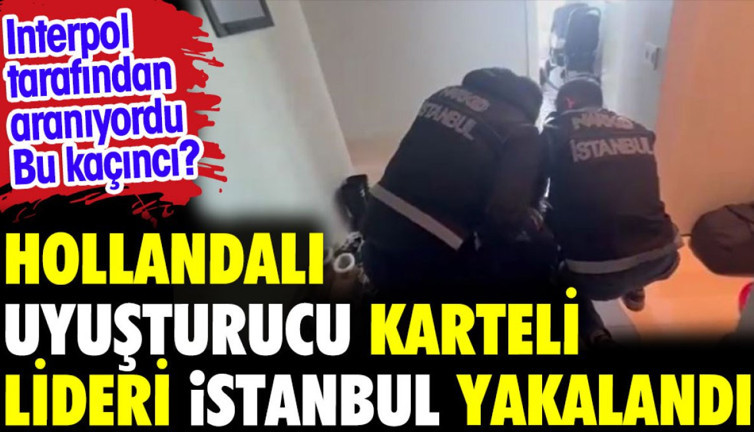 Hollandalı uyuşturucu karteli lideri İstanbul'da yakalandı. İnterpol arıyordu bu kaçıncı?