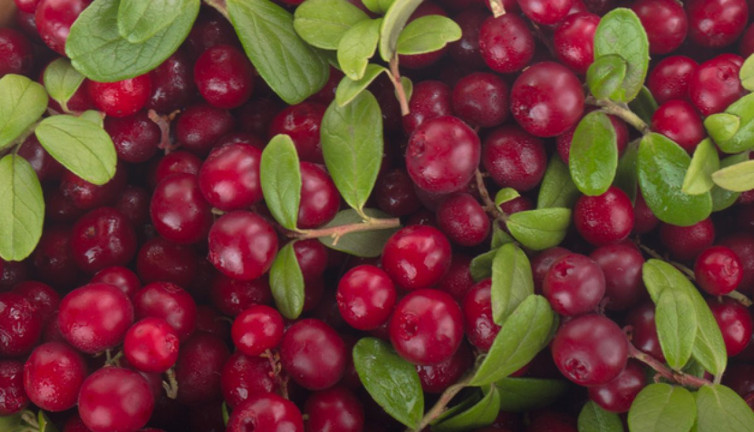 Prostat büyümesinden kaynaklanan şikayetleri gideriyor. İşte mucize ot