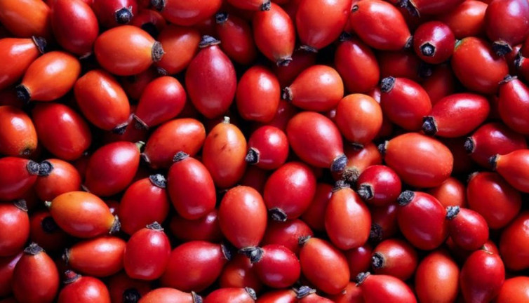 Birkaç tane yemek yeterli