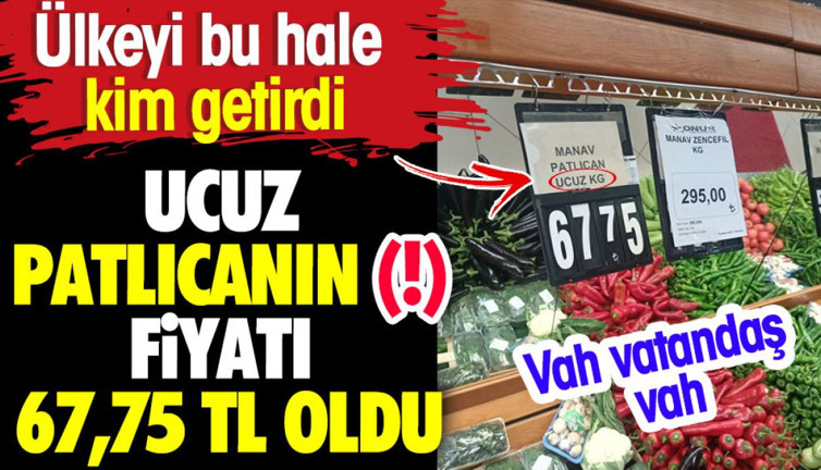 Ucuz patlıcanın (!) kilosu 67,75 TL oldu. Ülkeyi bu hale kim getirdi