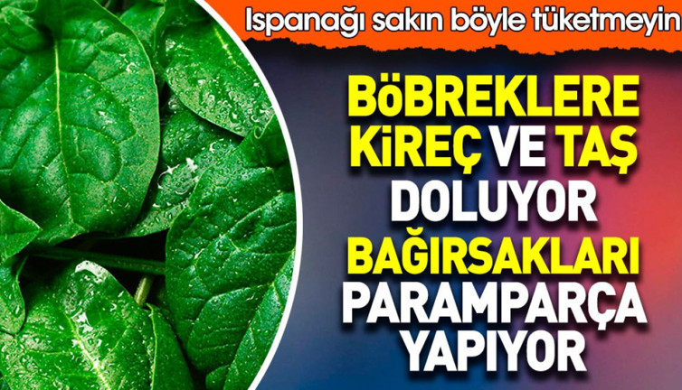 Ispanağı sakın böyle tüketmeyin. Böbreklere kireç ve taş doluyor. Bağırsaklar paramparça yapıyor