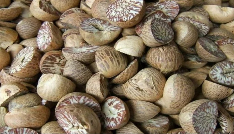 İşte öldüren fındık