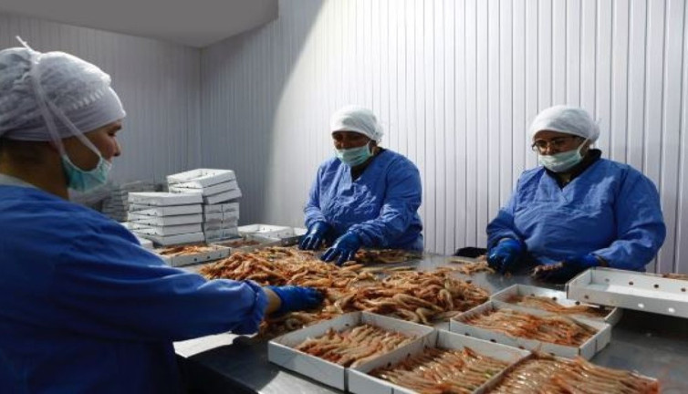 Dünyaca ünlü Türk şirketi Japonlara satıldı. 35 ülkeye ihracat yapıyordu.