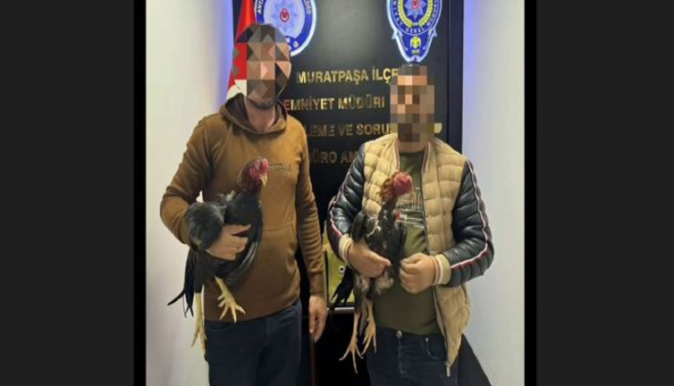 Horoz dövüştürüp kumar oynatan 5 kişi gözaltında