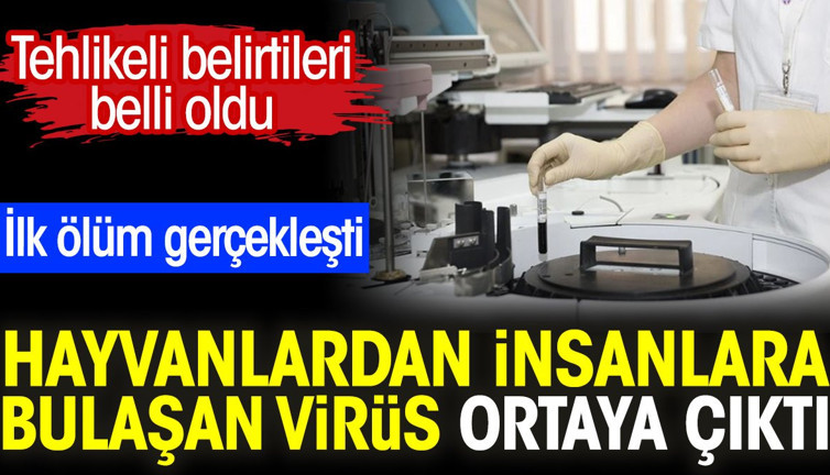 Hayvanlardan insanlara bulaşan virüs ortaya çıktı. Tehlikeli belirtileri belli oldu. İlk ölüm gerçekleşti