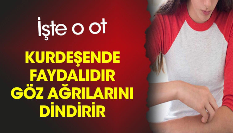 Kurdeşende faydalıdır. Göz ağrılarını dindirir. İşte o ot