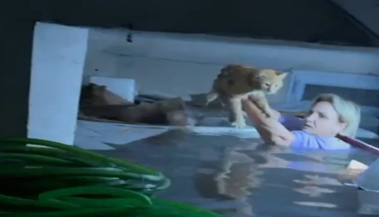 Hayatını hiçe sayarak selde mahsur kalan kediyi kurtardı