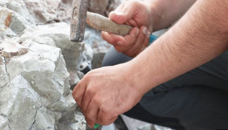 Adıyaman'da yamaçta yürürken gördü hemen telefona sarıldı. Eşi benzeri yok gören hayrete düşüyor