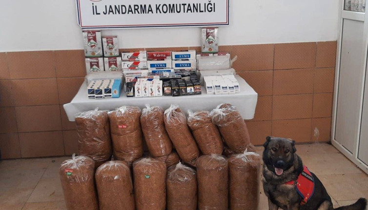 Kaçak tütün operasyonu (25 Şubat 2024)