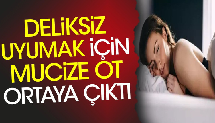 Deliksiz uyumak için mucize ot ortaya çıktı