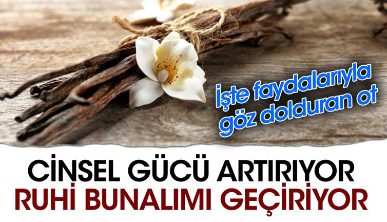 Cinsel gücü artırıyor. Ruhi bunalımı geçiriyor. İşte faydalarıyla göz dolduran otu