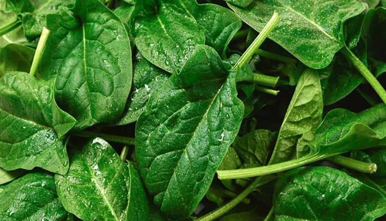 Ispanağı bozulmadan aylarca saklamanın püf noktaları nelerdir?