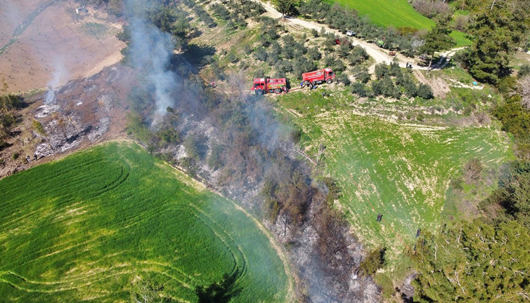 Osmaniye'de orman yangını! 5 dekarlık alan zarar gördü
