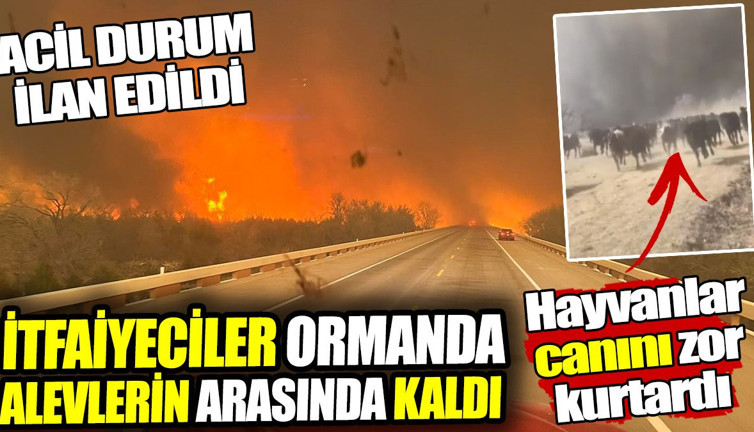 İtfaiyeciler orman yangınında alevlerin arasında kaldı! Hayvanlar canını zor kurtardı