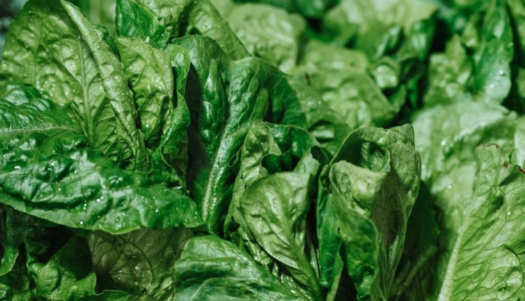 Ispanak bozulmadan aylarca nasıl saklanır? Taze alınmış gibi oluyor