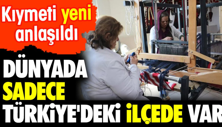 Dünyada sadece Türkiye'deki ilçede var. Kıymeti yeni anlaşıldı