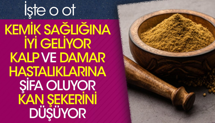 Kemik sağlığına iyi geliyor. Kalp ve damar hastalıklarına şifa oluyor. Kan şekerini düşüyor. İşte o ot