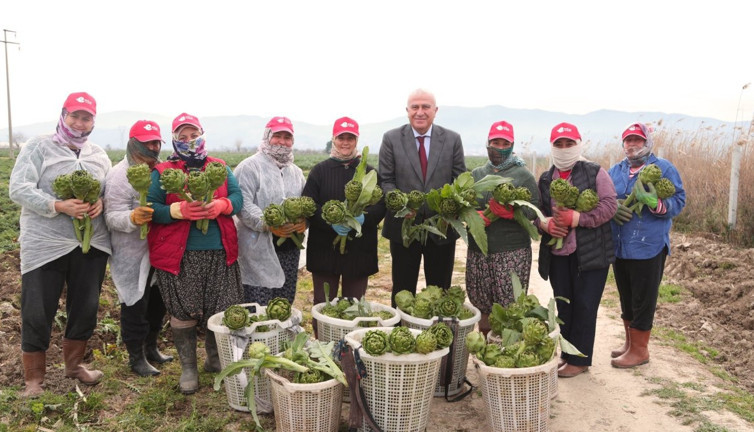 2 yıl önce ekilmişti ilk hasadı başladı. Dünyanın her yerinden istiyorlar