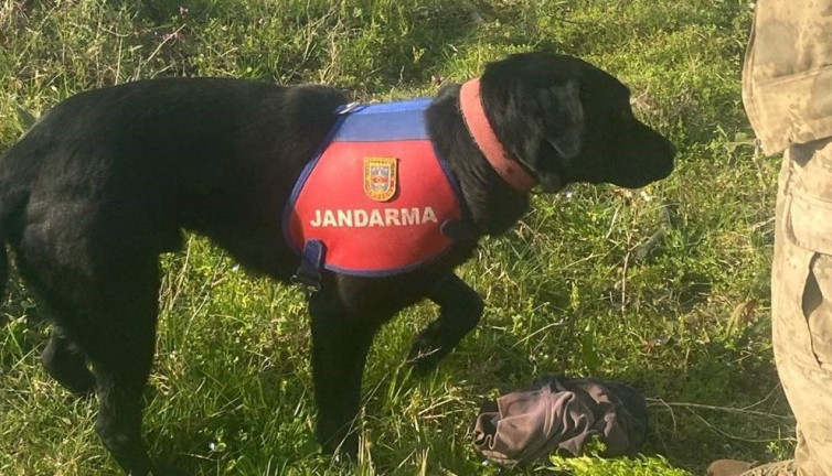 60 yaşındaki zihinsel engelli kayıp adamı iz takip köpeği buldu